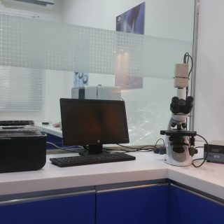 w20 copy