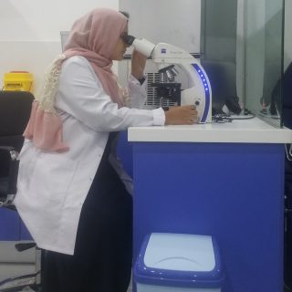 w7 copy